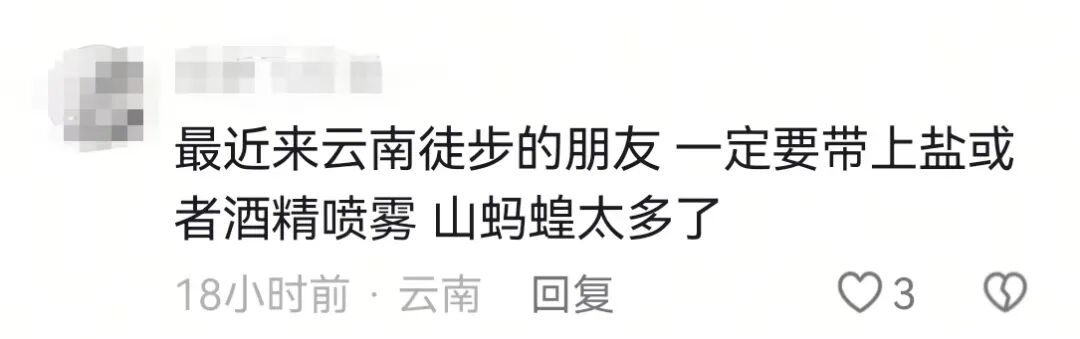 掌上春城微信