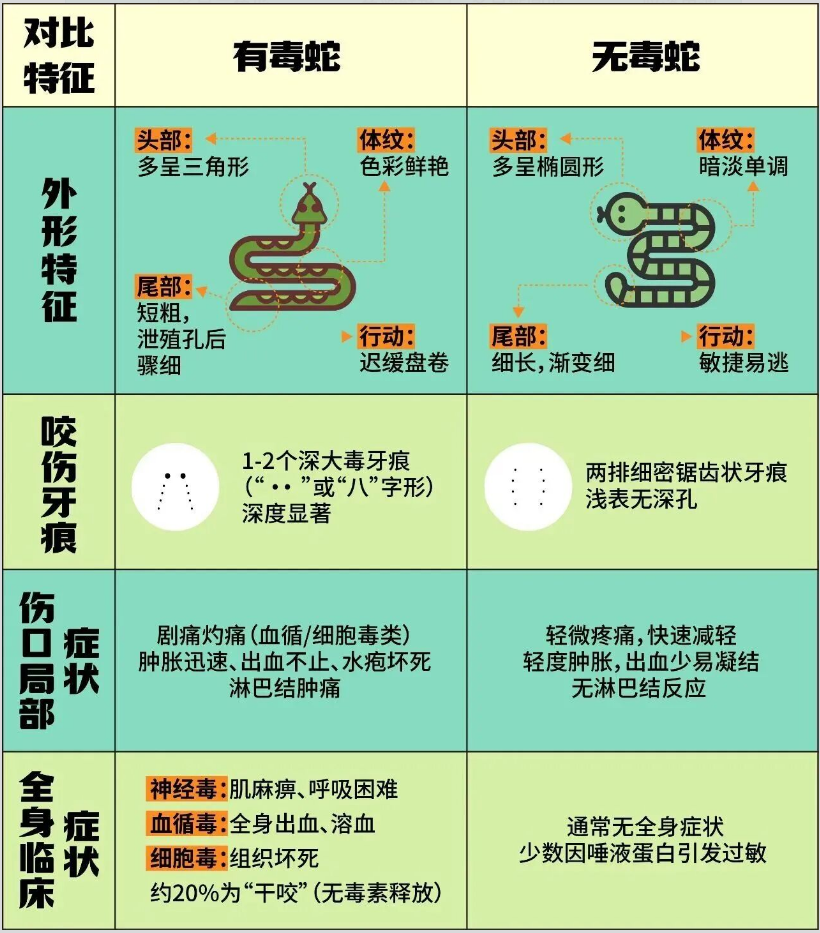 掌上春城微信