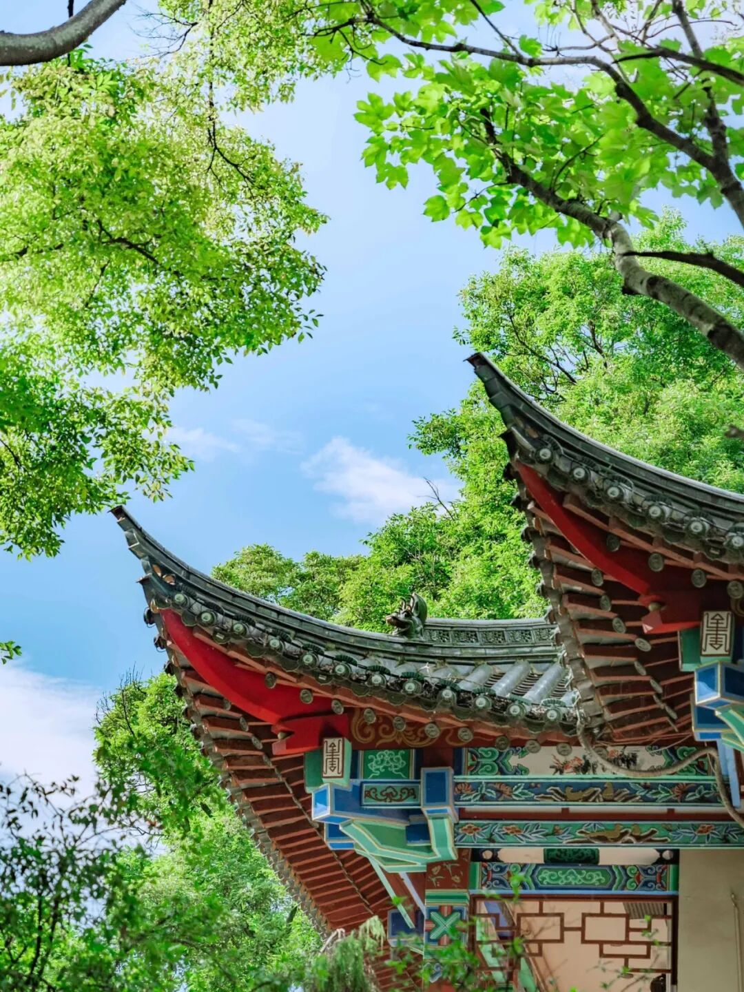 街头巷尾