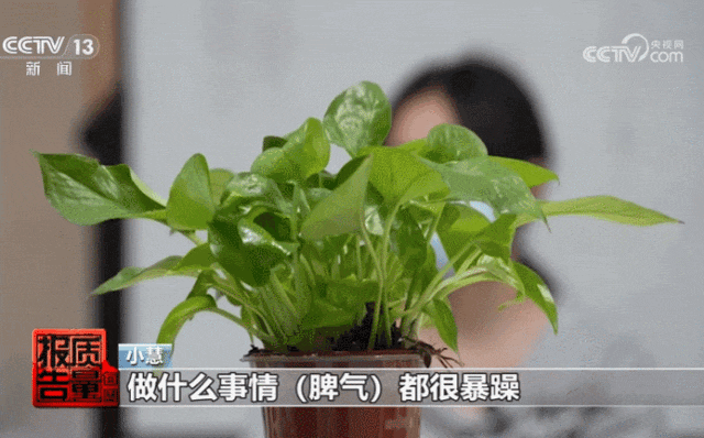 昆明广播电视台