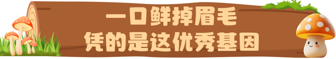 FM954昆明汽车音乐广播
