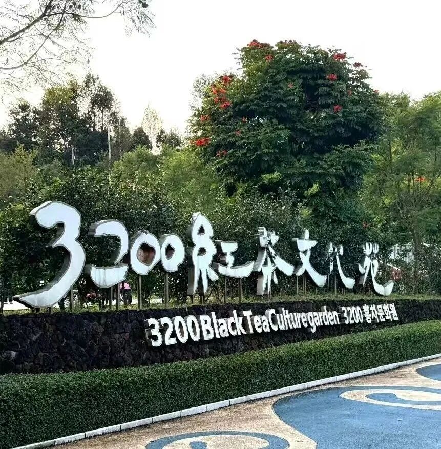 街头巷尾