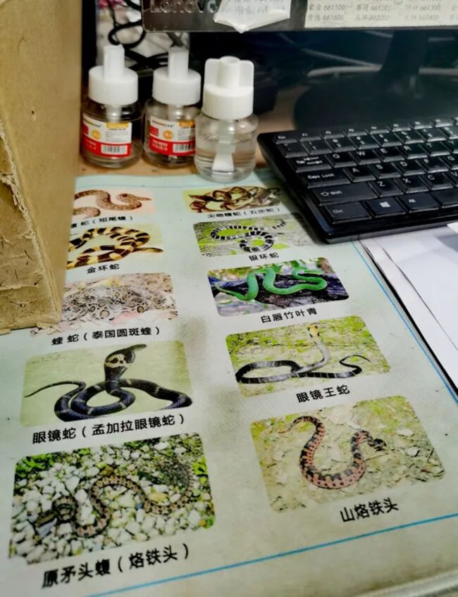都市时报