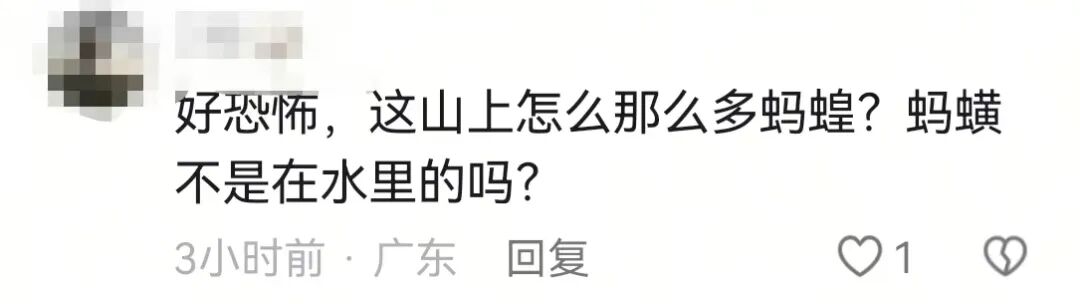 掌上春城微信