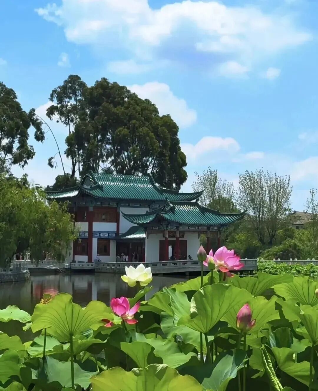 街头巷尾