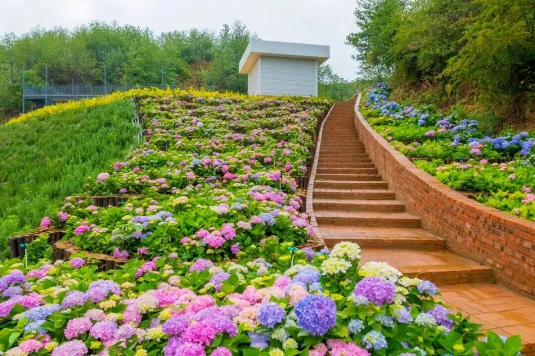 街头巷尾
