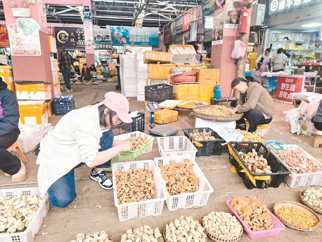昆报头条
