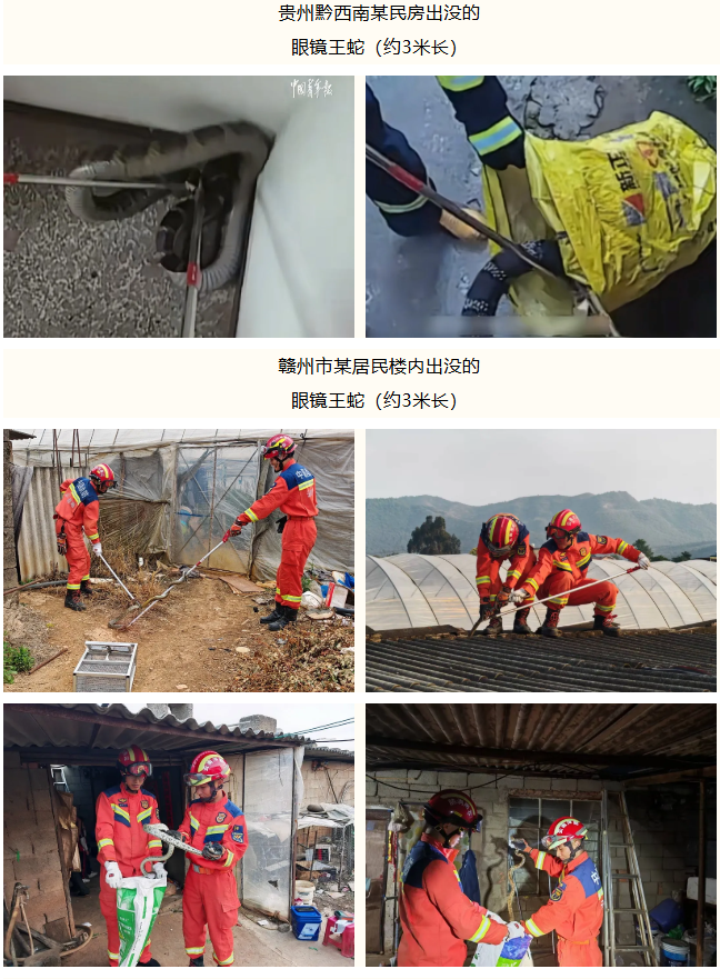 8099999街头巷尾微信