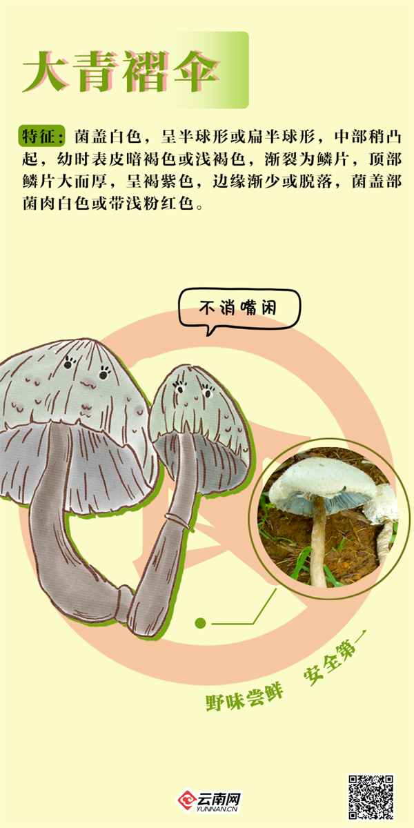 掌上春城微信