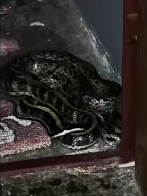 昆明广播电视台