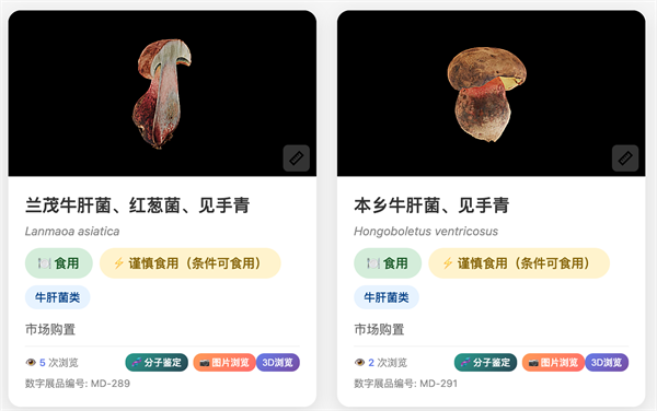 8099999街头巷尾微信