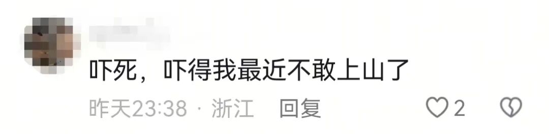 掌上春城微信