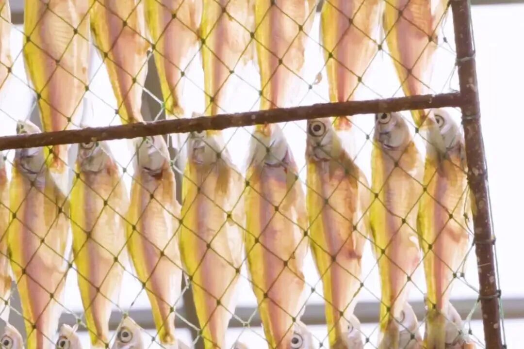 街头巷尾