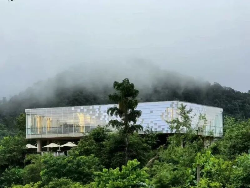 街头巷尾