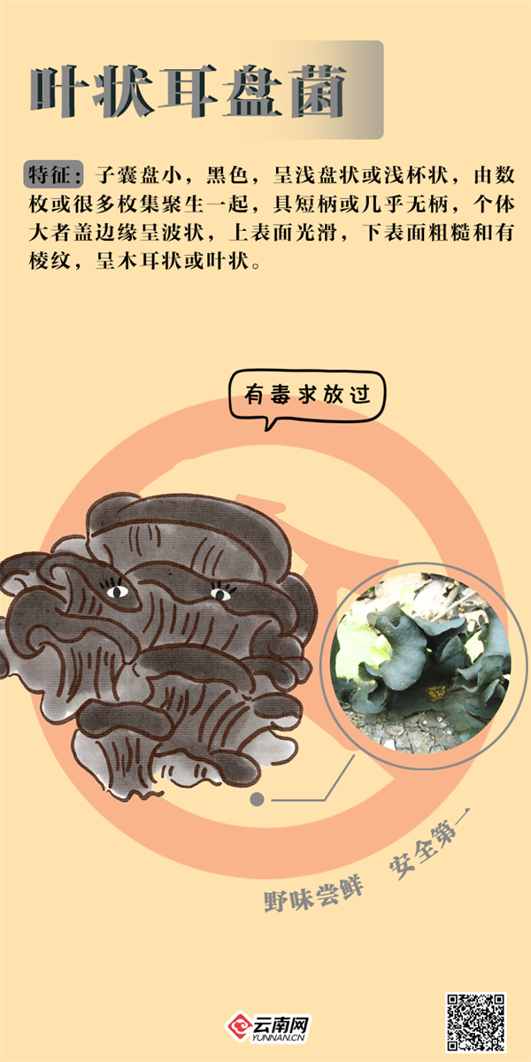 掌上春城微信