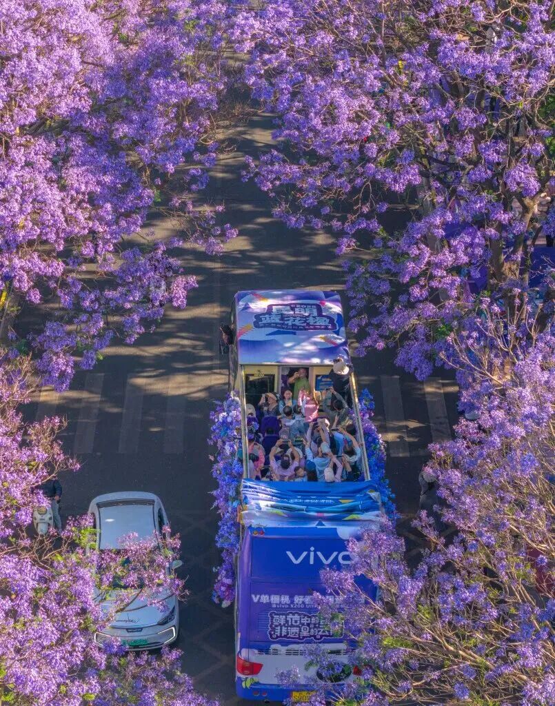 8099999街头巷尾微信