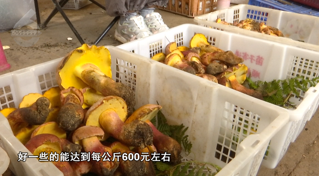 8099999街头巷尾微信