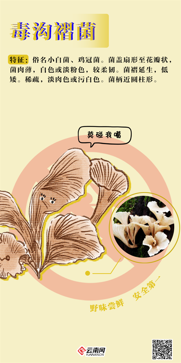 掌上春城微信