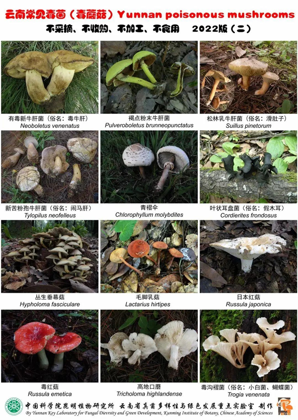 掌上春城微信