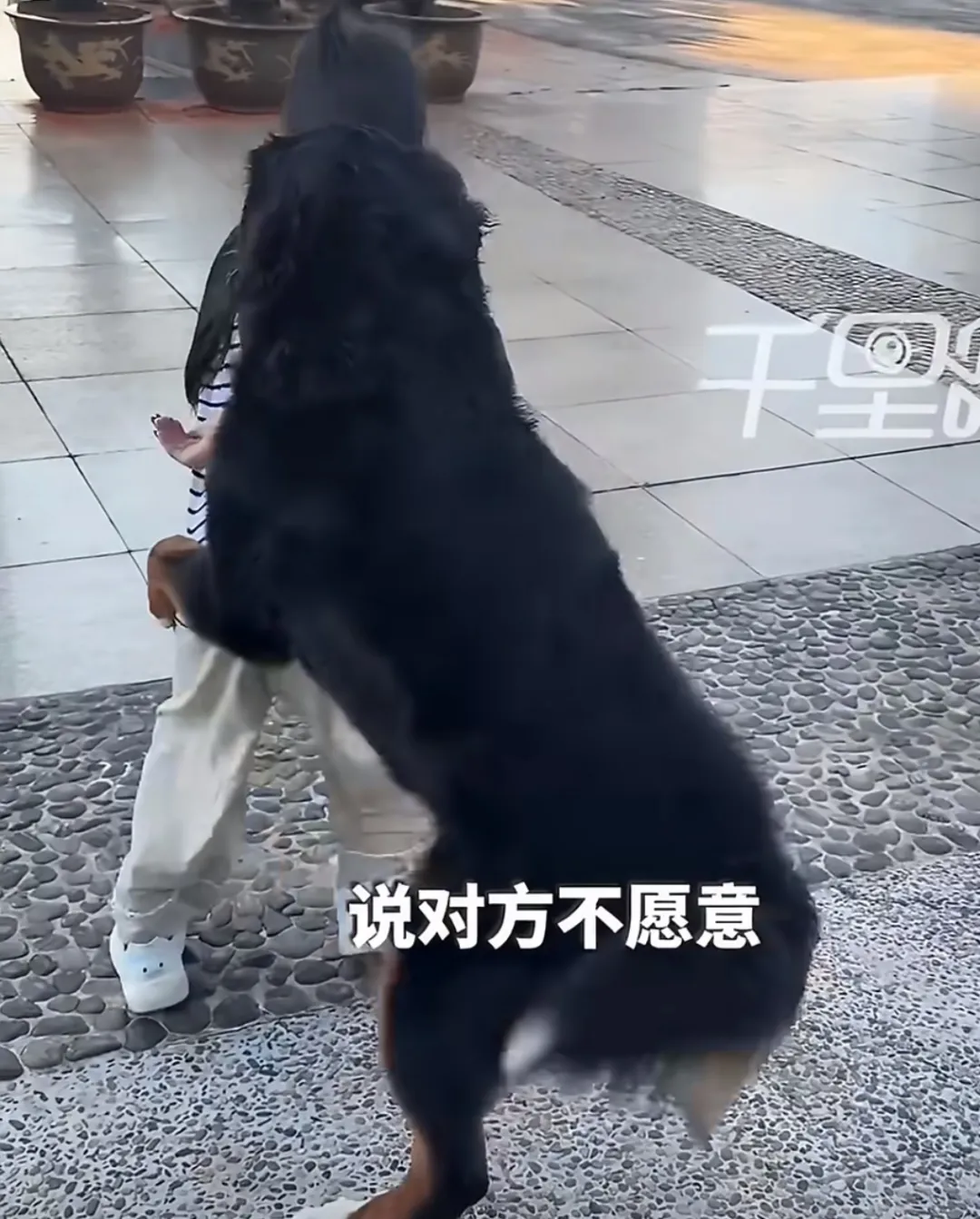 都市时报