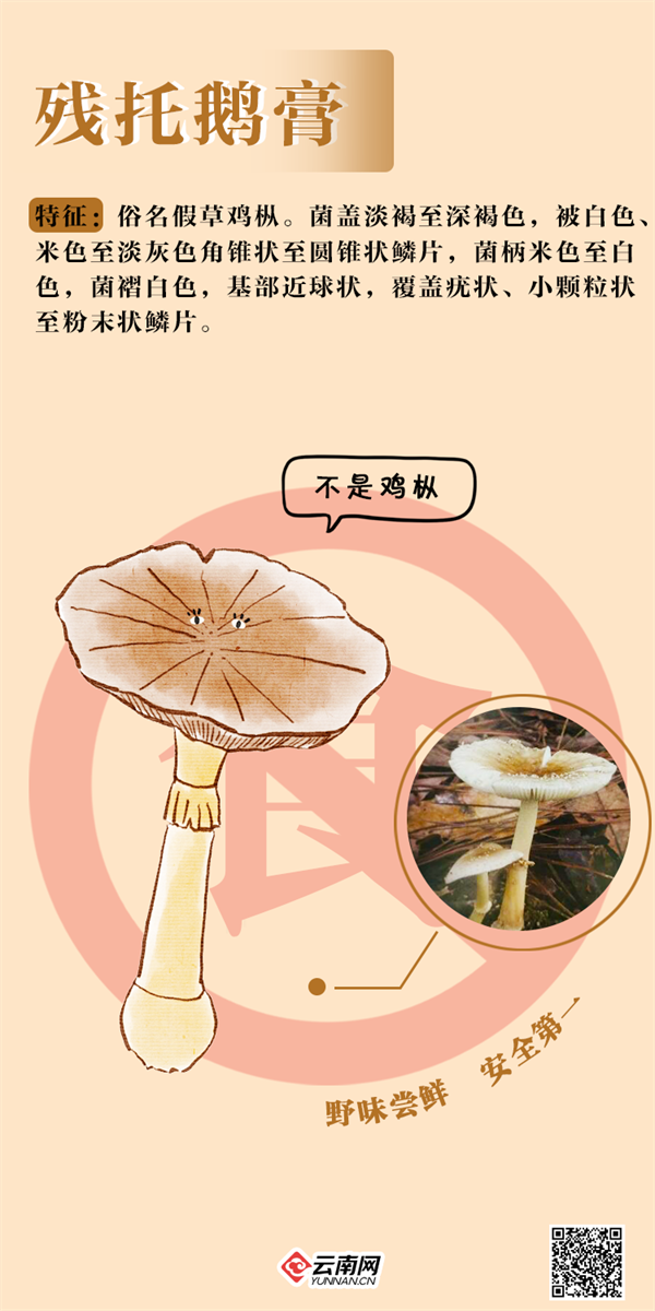 掌上春城微信