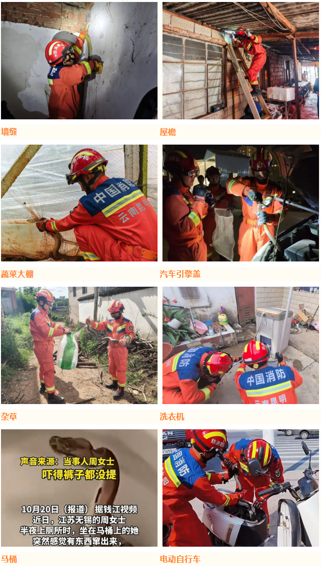8099999街头巷尾微信