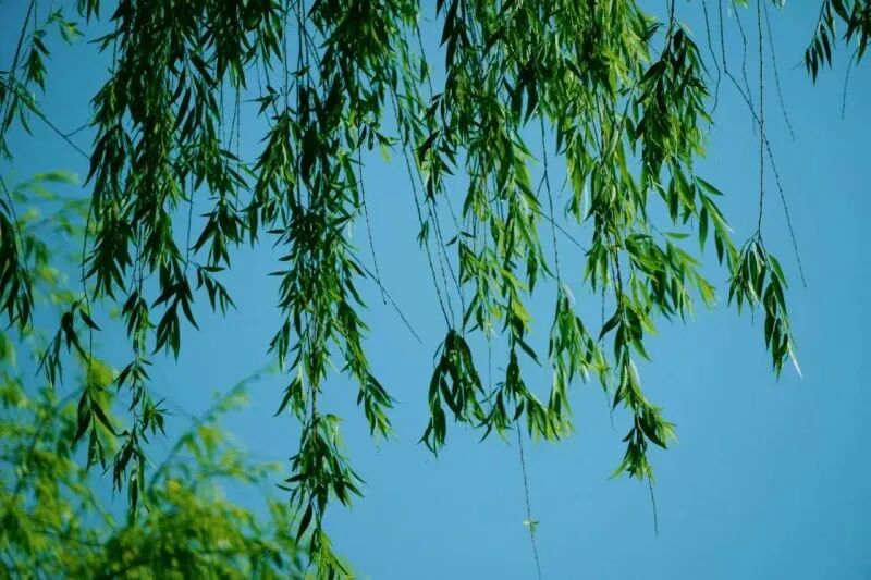 街头巷尾