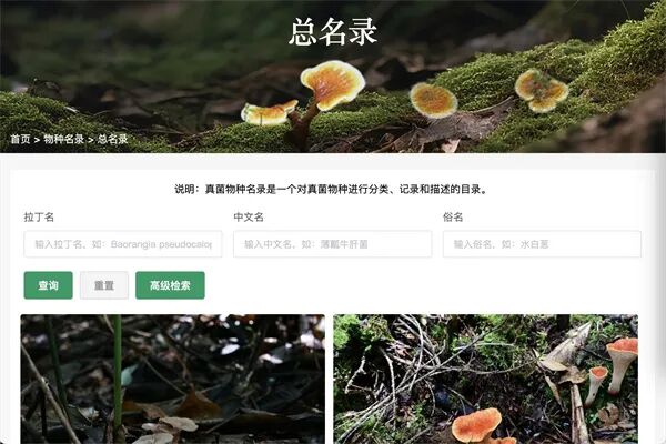 8099999街头巷尾微信