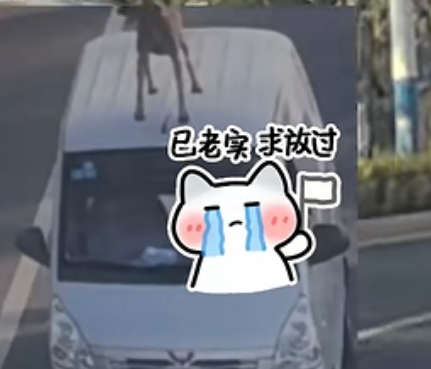 都市时报