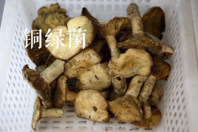 街头巷尾