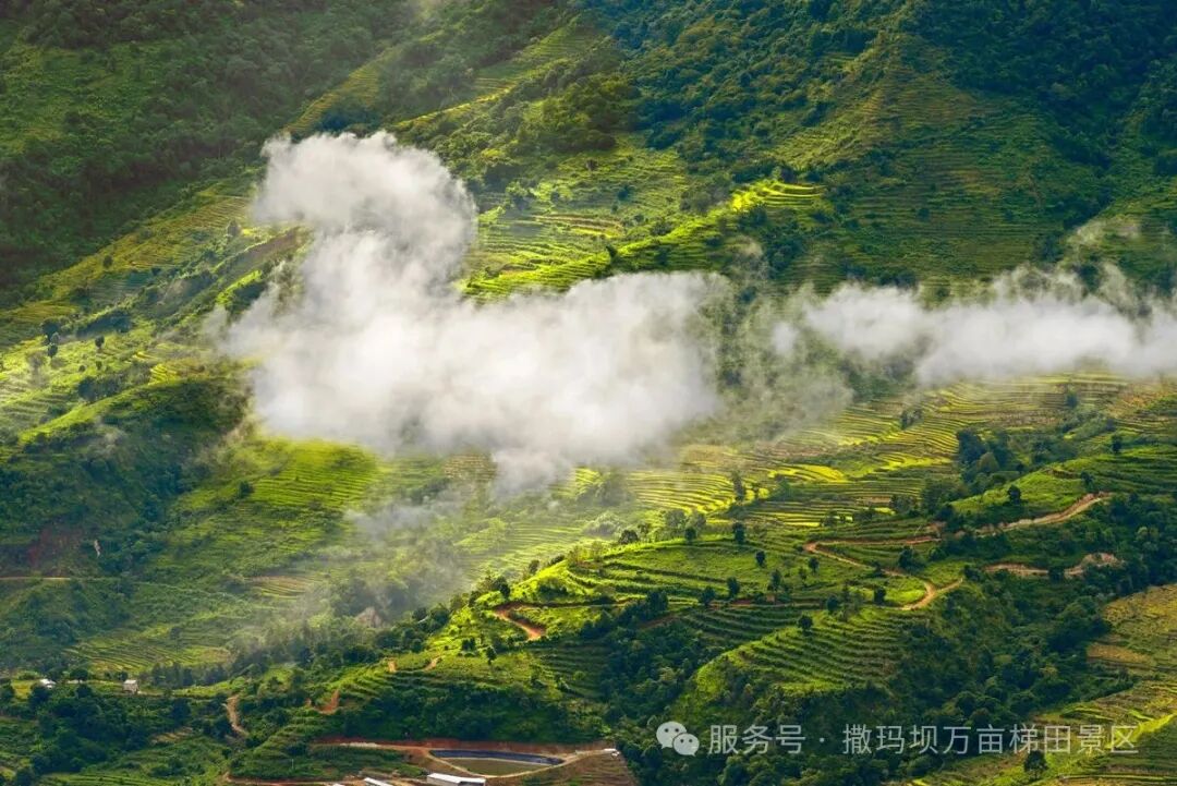 街头巷尾
