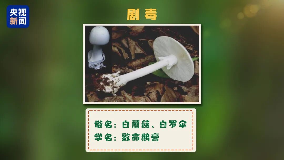 FM954昆明汽车音乐广播