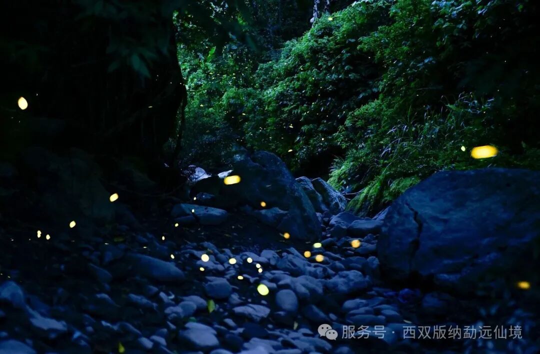 街头巷尾