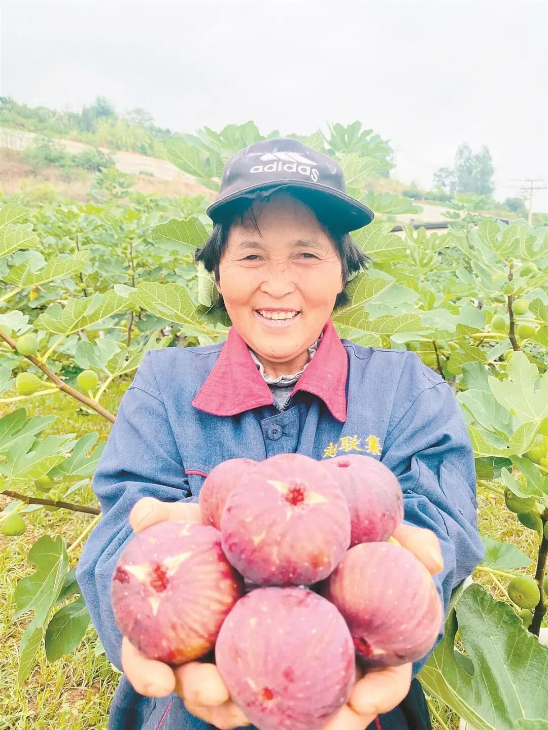 昆报头条