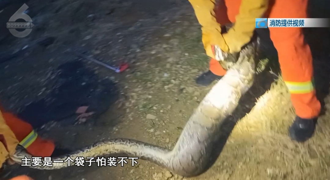 8099999街头巷尾微信