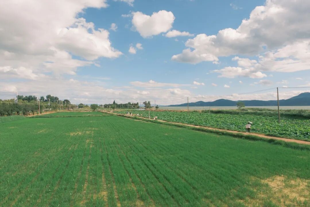 街头巷尾