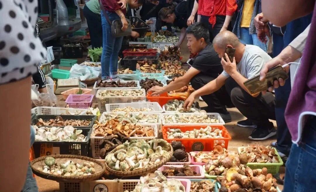 街头巷尾