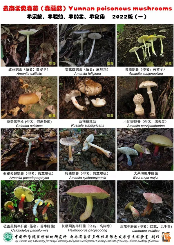 掌上春城微信