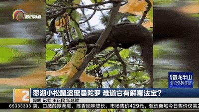都市时报