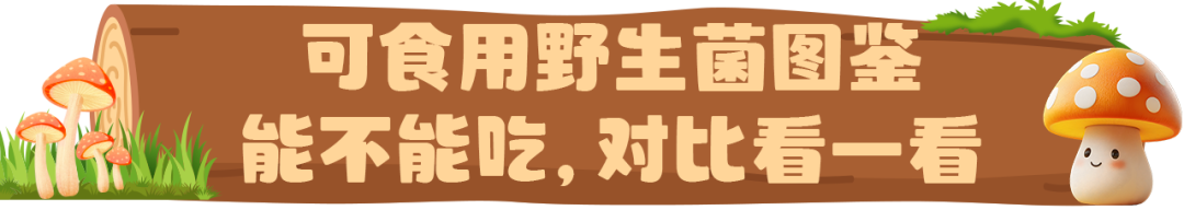 FM954昆明汽车音乐广播