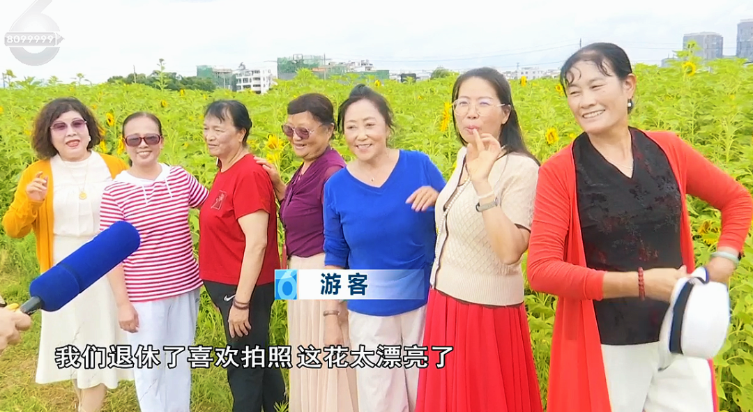 8099999街头巷尾微信