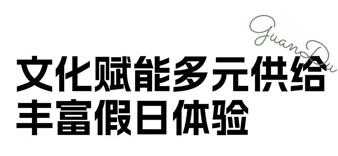 官渡国投