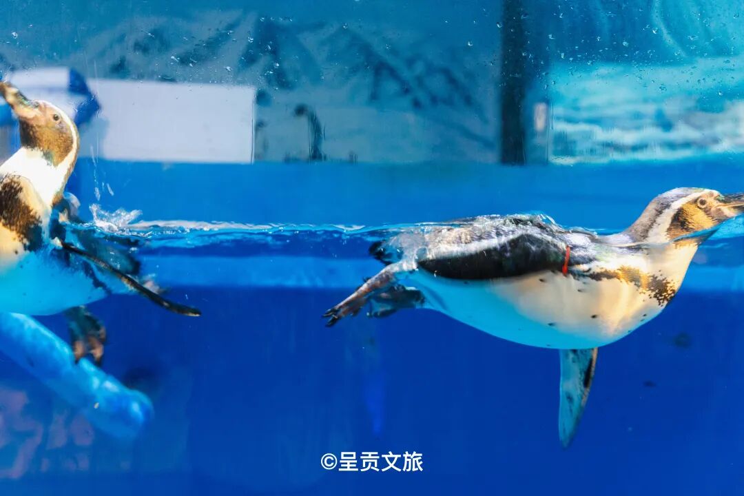 街头巷尾