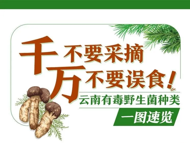 掌上春城微信