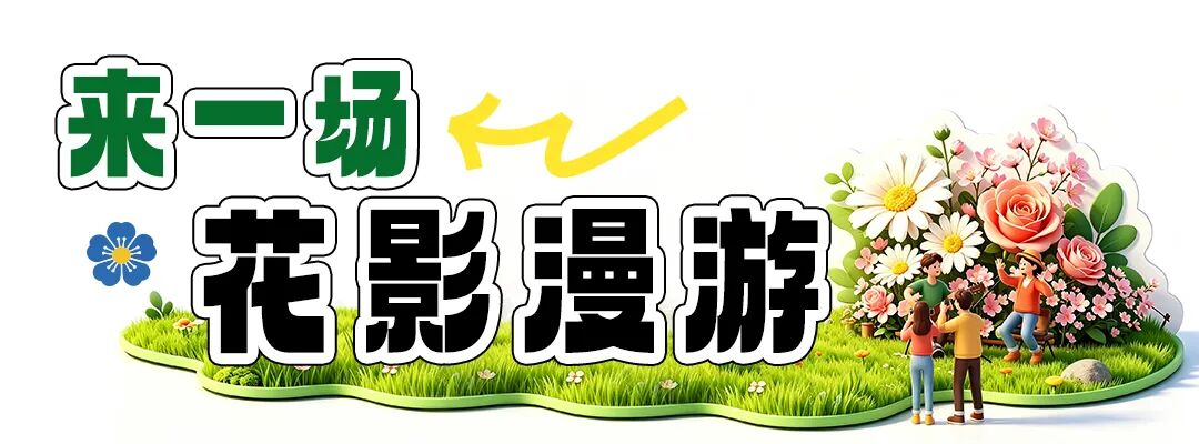 街头巷尾