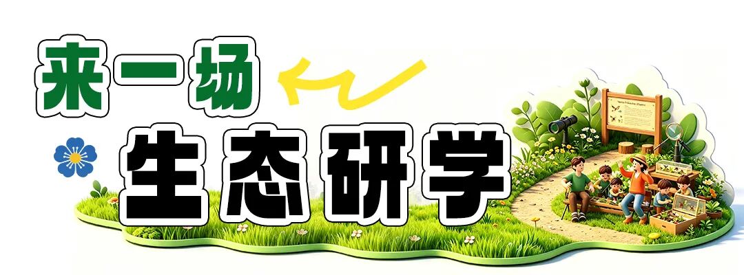 街头巷尾