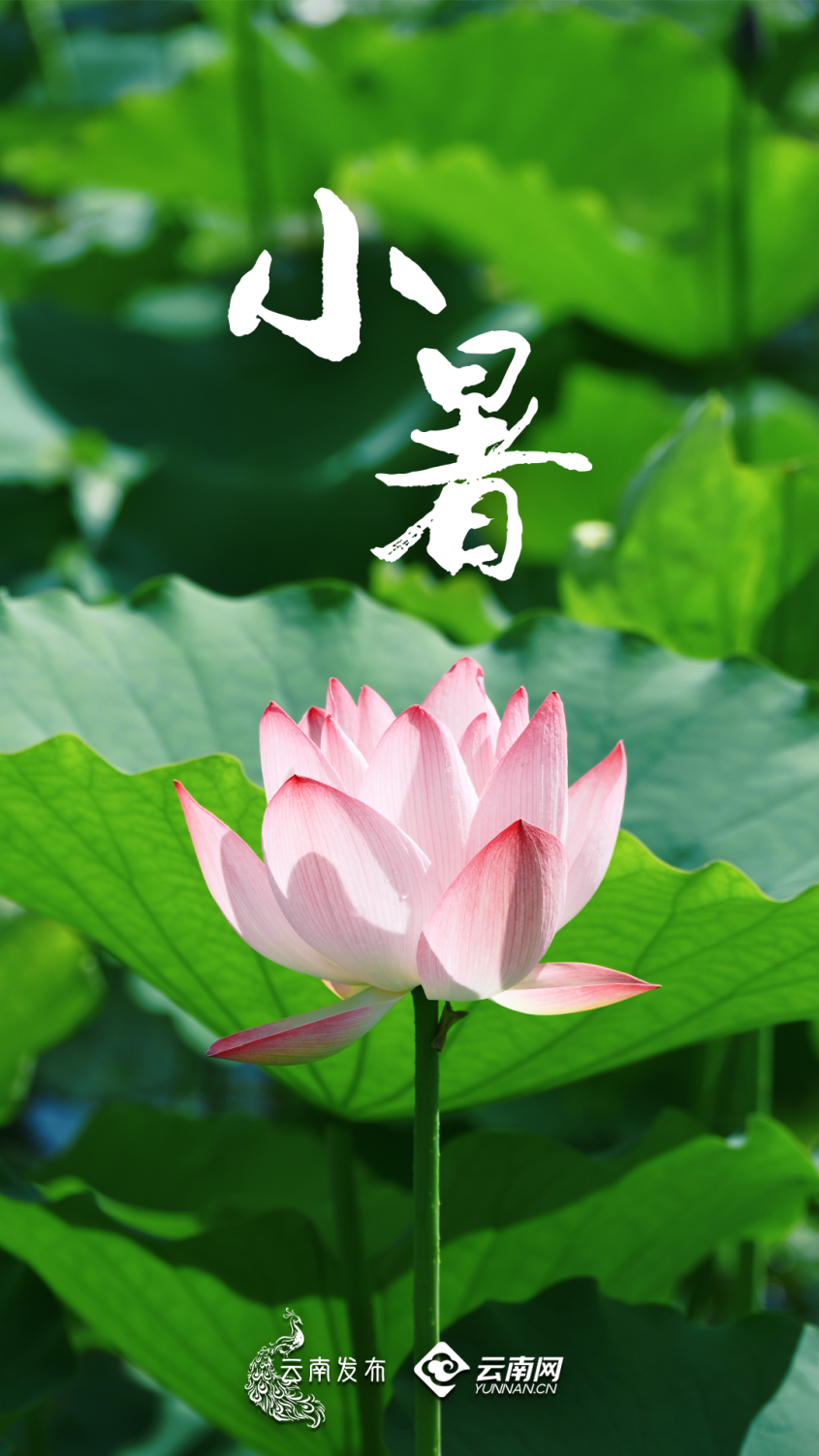 昆明广播电视台经济生活频道