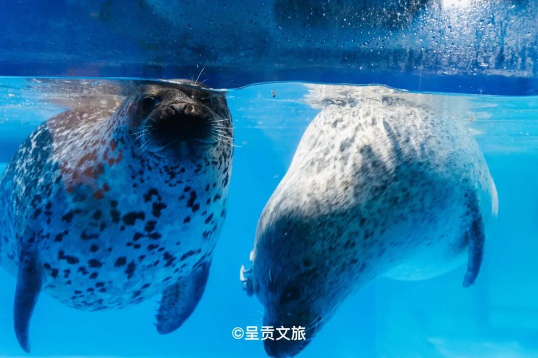 街头巷尾