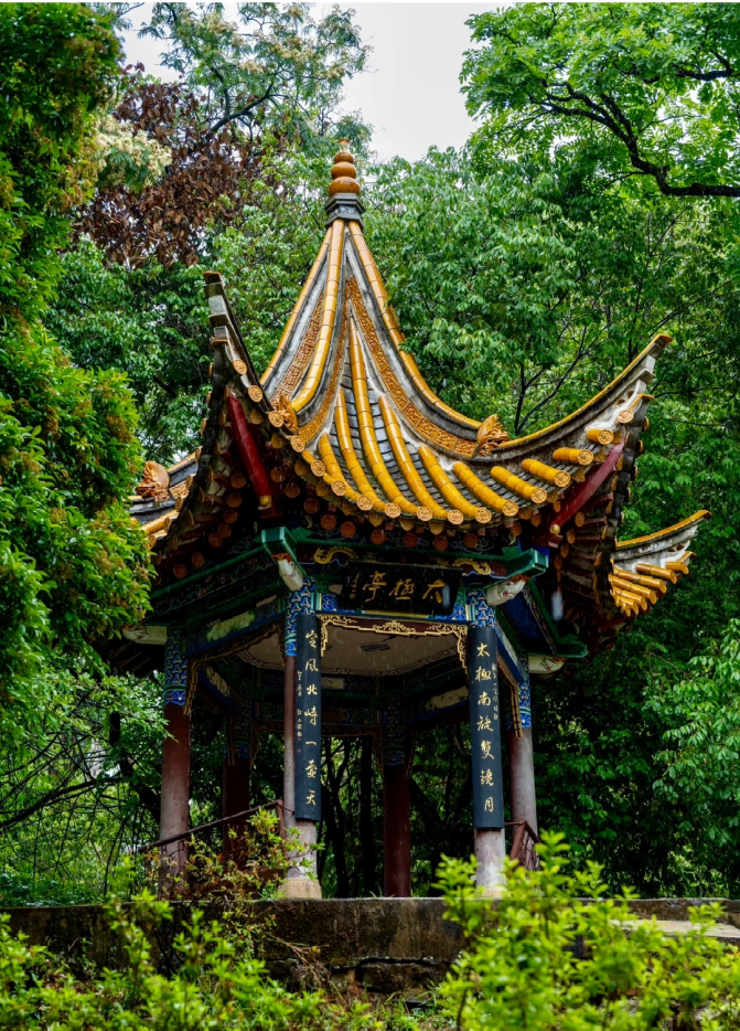 街头巷尾