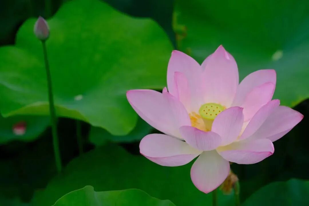 街头巷尾